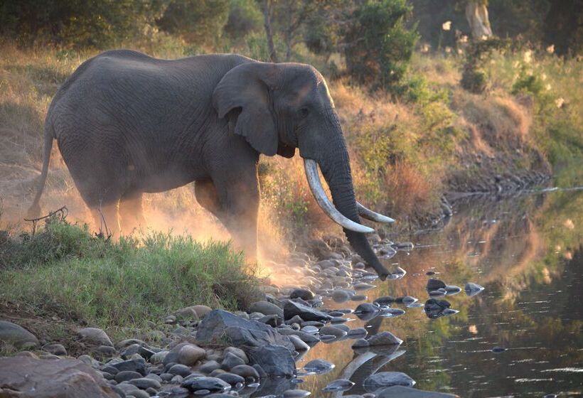 ホテル Kuname River Lodge