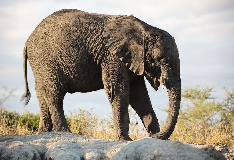 ホテル Kuname River Lodge