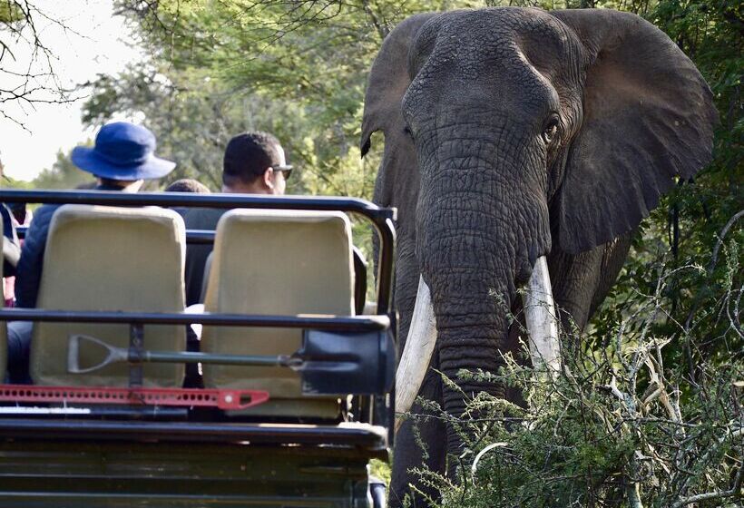 ホテル Kuname River Lodge