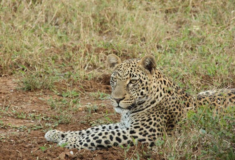 ホテル Kuname River Lodge