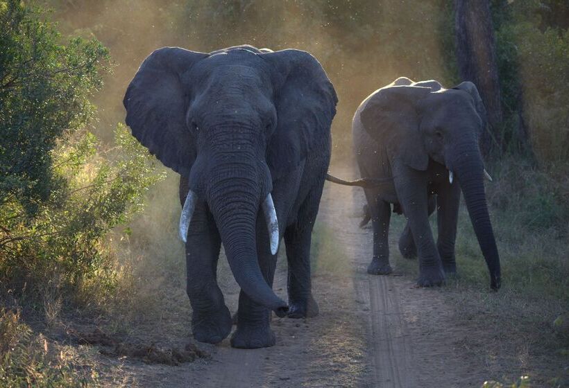 ホテル Kuname River Lodge