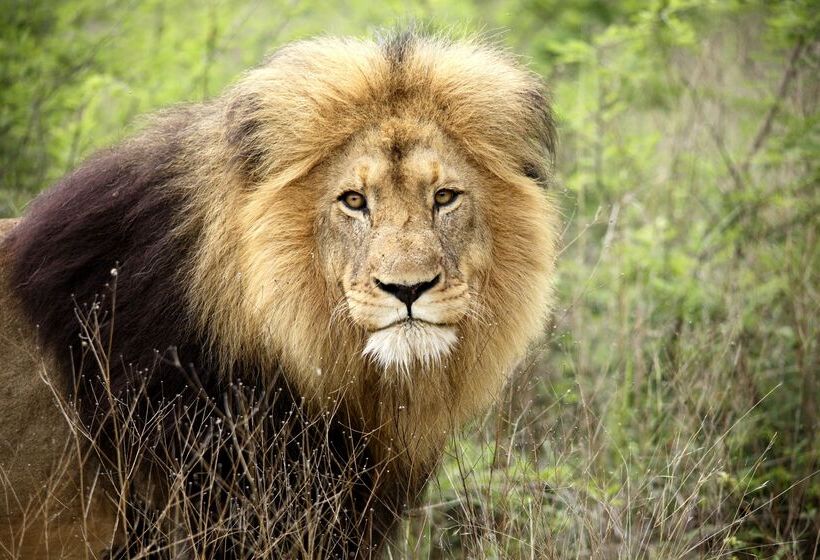 ホテル Kuname River Lodge