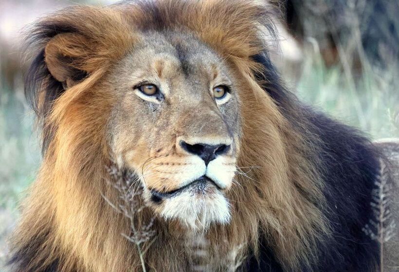 ホテル Kuname River Lodge