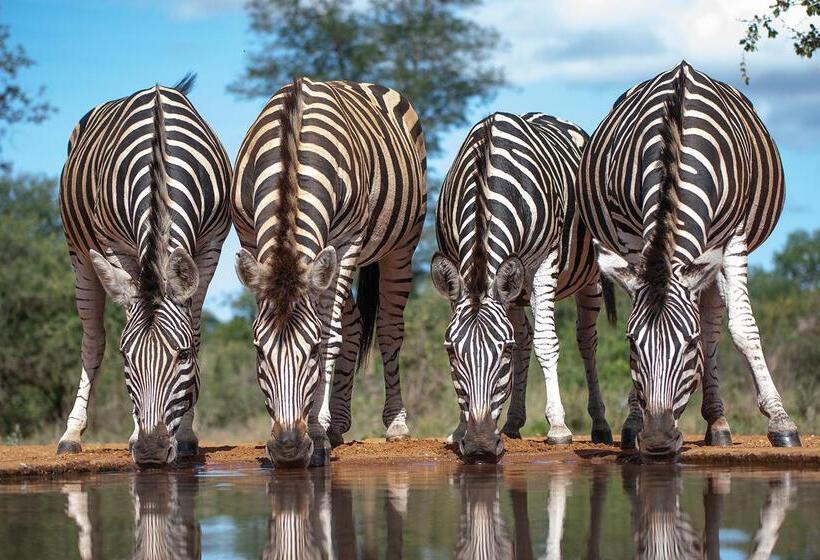 ホテル Kuname River Lodge