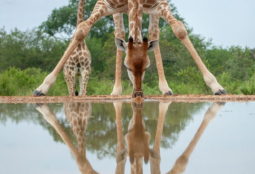 ホテル Kuname River Lodge