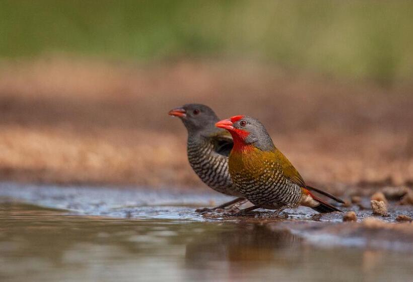 ホテル Kuname River Lodge