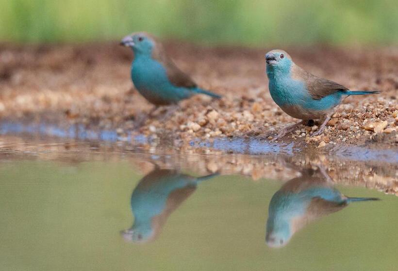 ホテル Kuname River Lodge