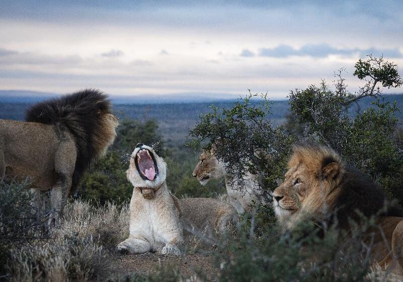 ホテル Kuzuko Lodge