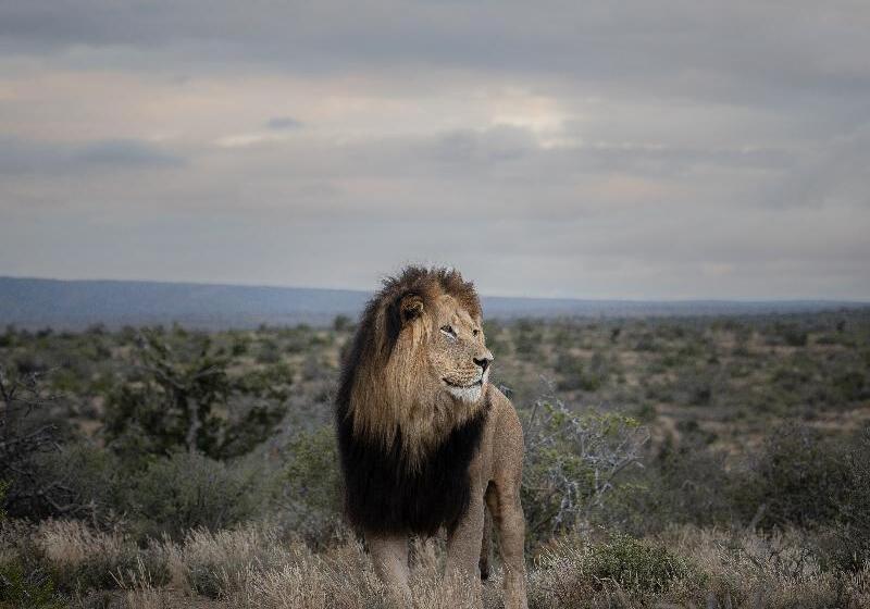 ホテル Kuzuko Lodge