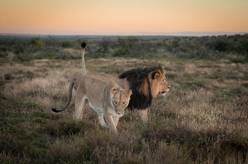 ホテル Kuzuko Lodge