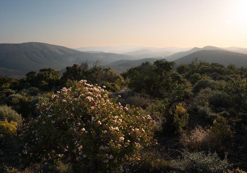 ホテル Kuzuko Lodge