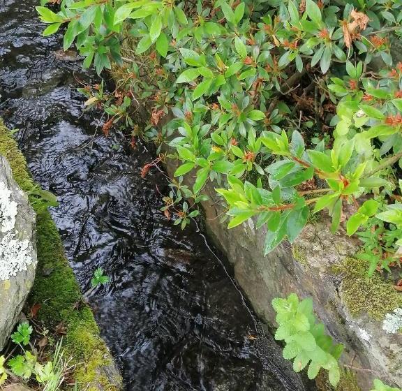 בית מלון כפרי Lar Da Mota Boutique