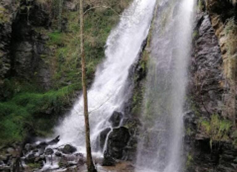 בית מלון כפרי Lar Da Mota Boutique