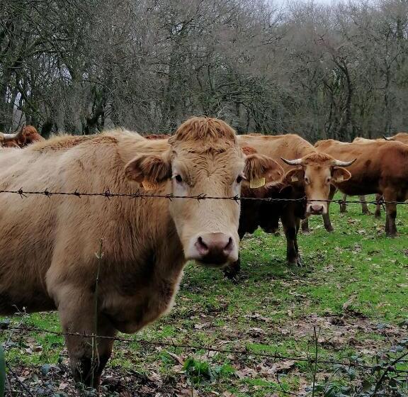 בית מלון כפרי Lar Da Mota Boutique