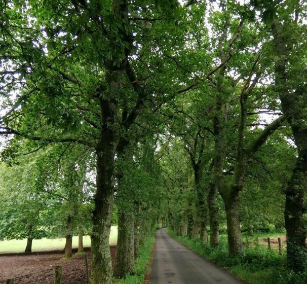 בית מלון כפרי Lar Da Mota Boutique