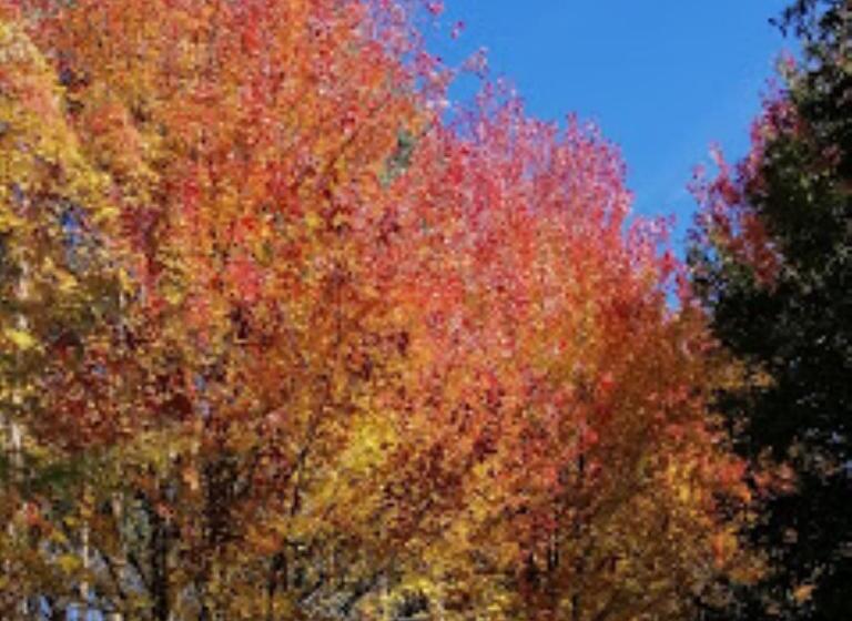 בית מלון כפרי Lar Da Mota Boutique