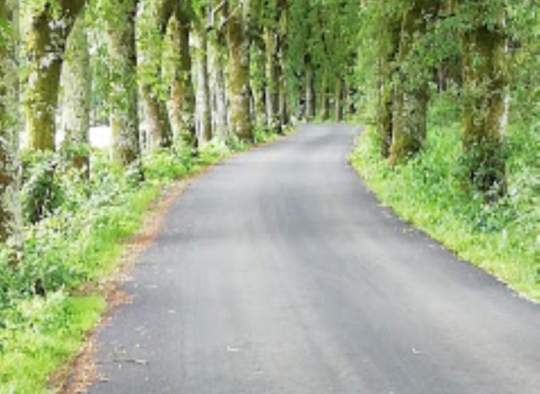 בית מלון כפרי Lar Da Mota Boutique