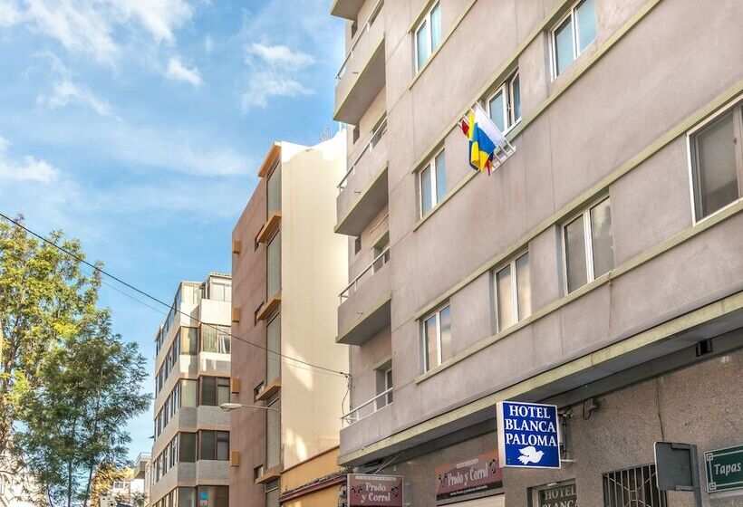 هتل Le Petit Palü Las Palmas