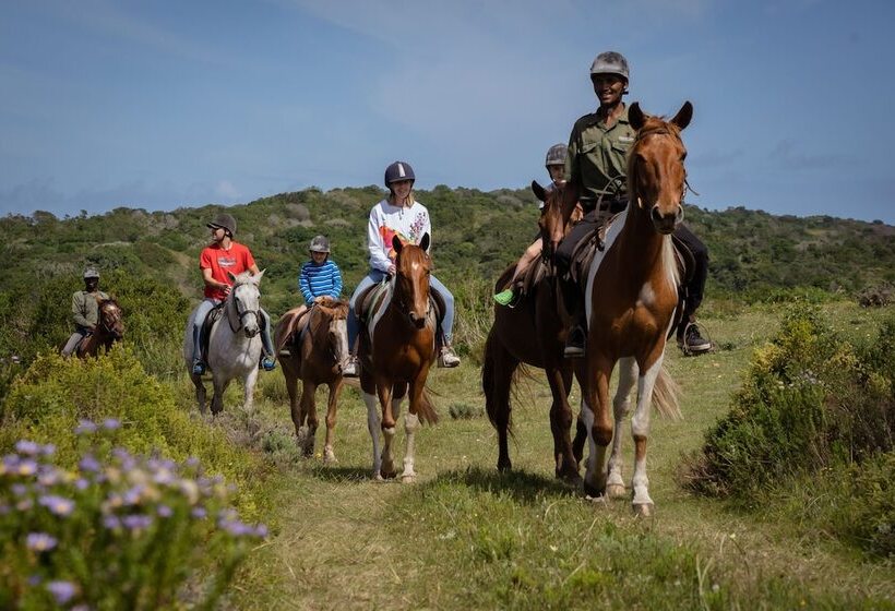 فندق Oyster Bay Lodge