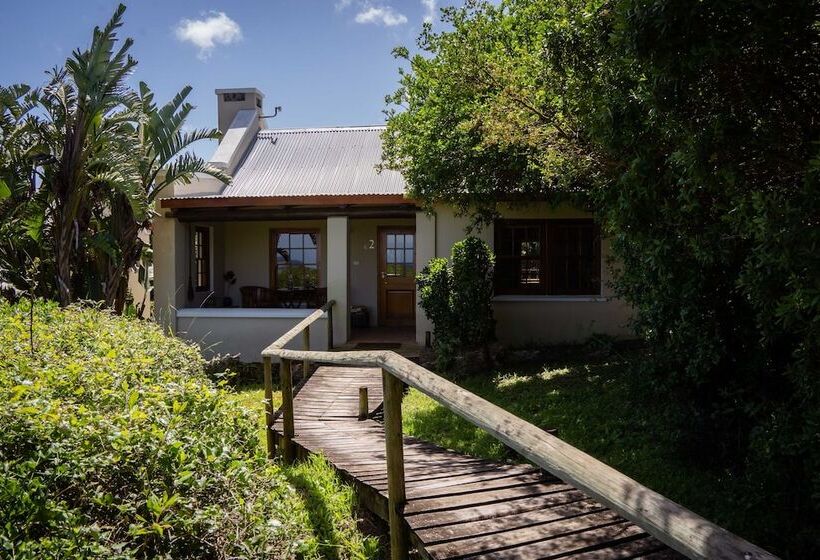 فندق Oyster Bay Lodge