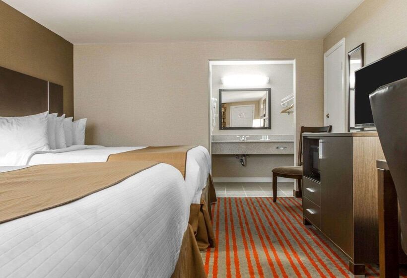 호텔 Quality Inn & Suites