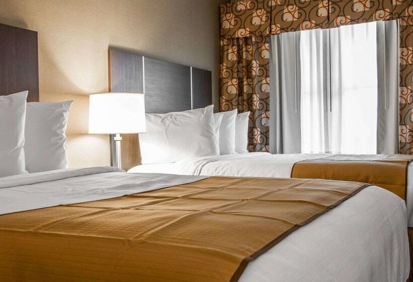 호텔 Quality Inn & Suites