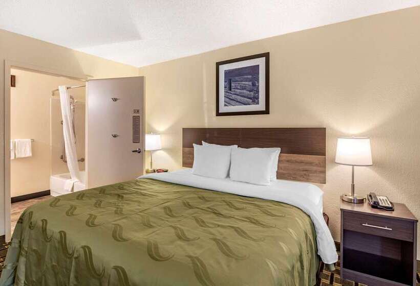 فندق Quality Inn Duluth   Atlanta Northeast