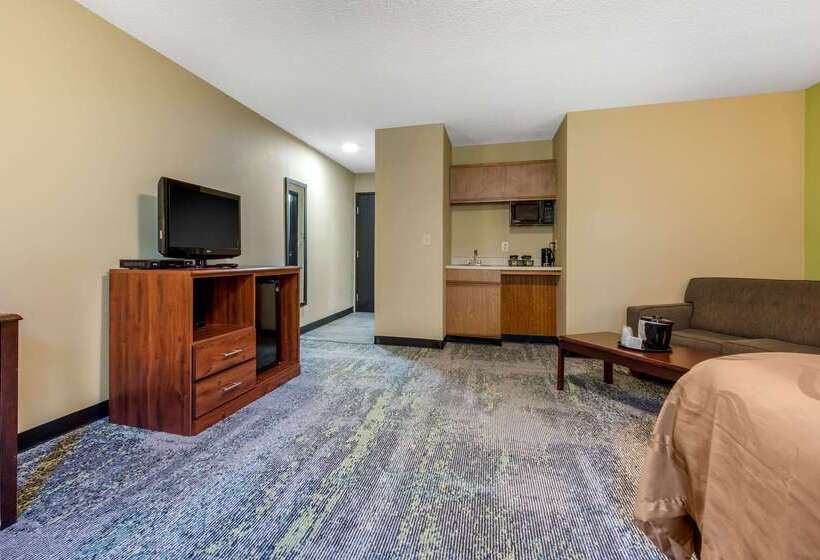 فندق Quality Inn