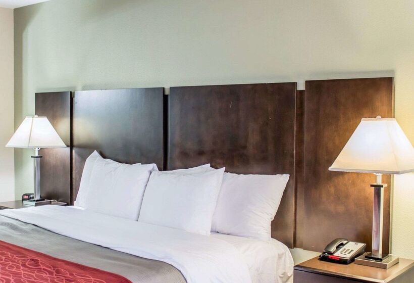 호텔 Quality Inn Raleigh Downtown