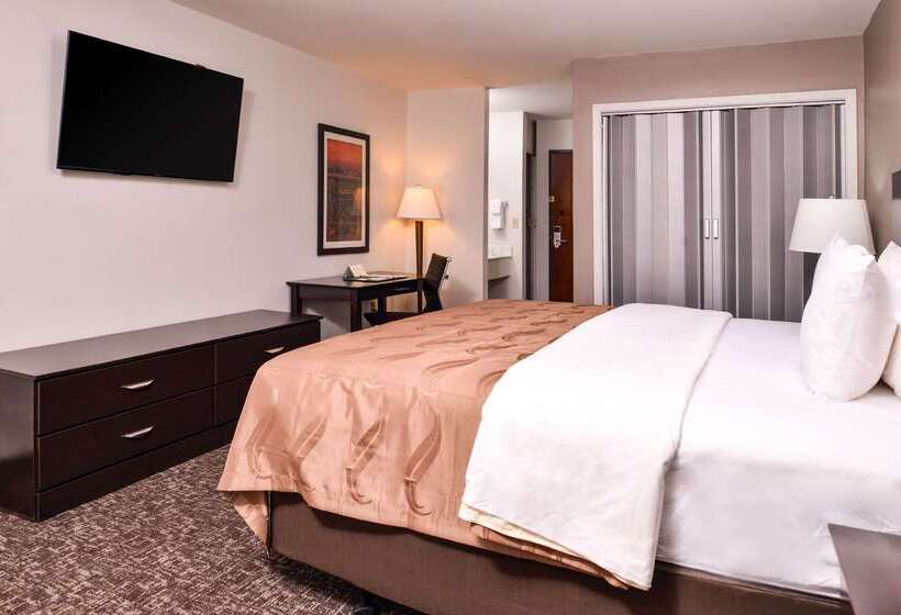 호텔 Quality Inn & Suites