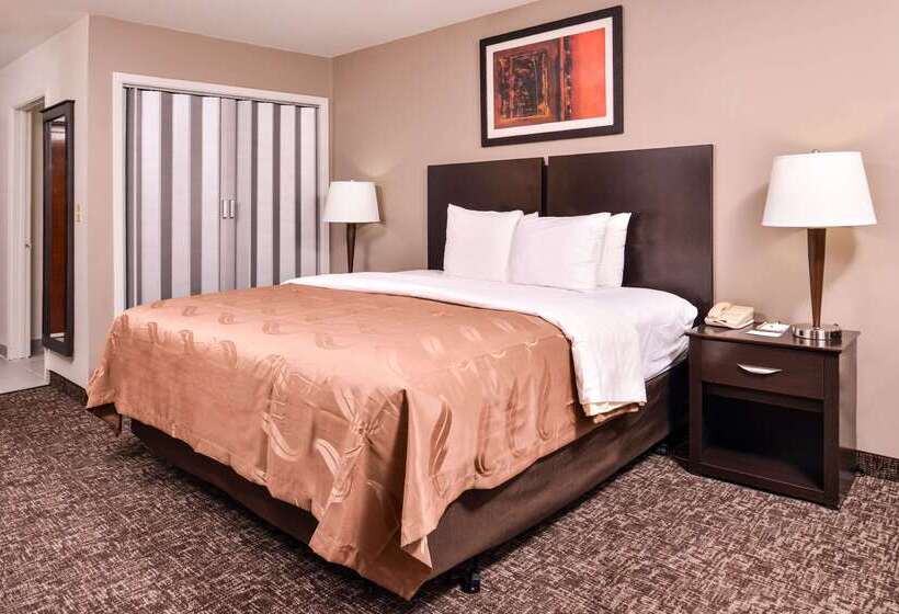 호텔 Quality Inn & Suites