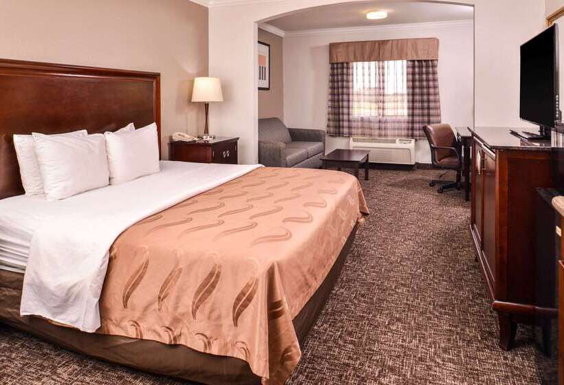 호텔 Quality Inn & Suites