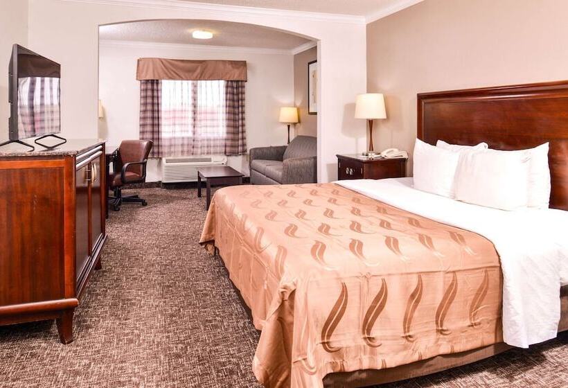 호텔 Quality Inn & Suites
