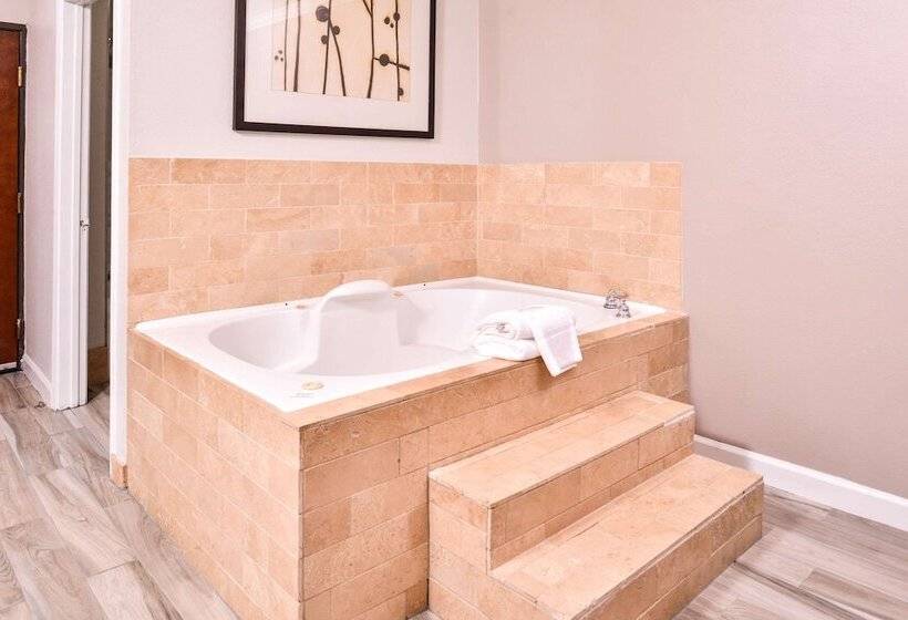 호텔 Quality Inn & Suites