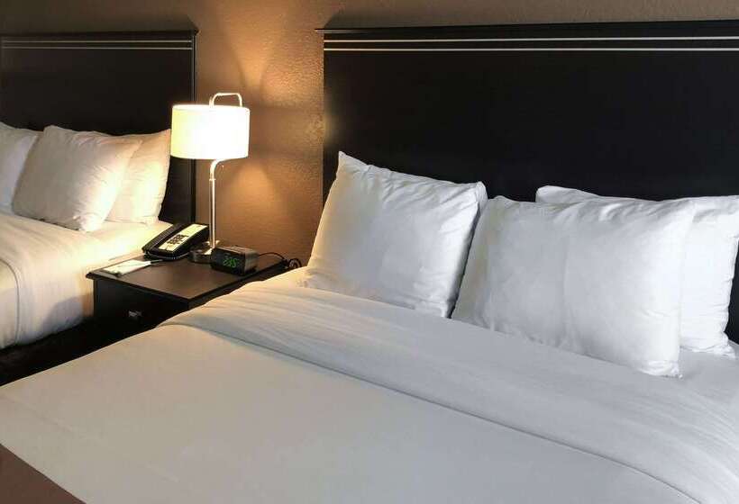 هتل Quality Inn & Suites Denver International Airport