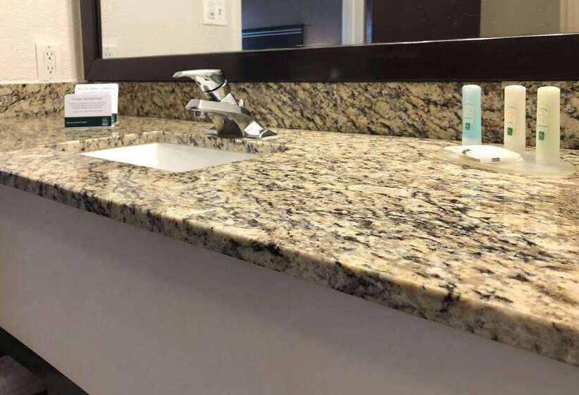 ホテル Quality Inn & Suites Denver International Airport