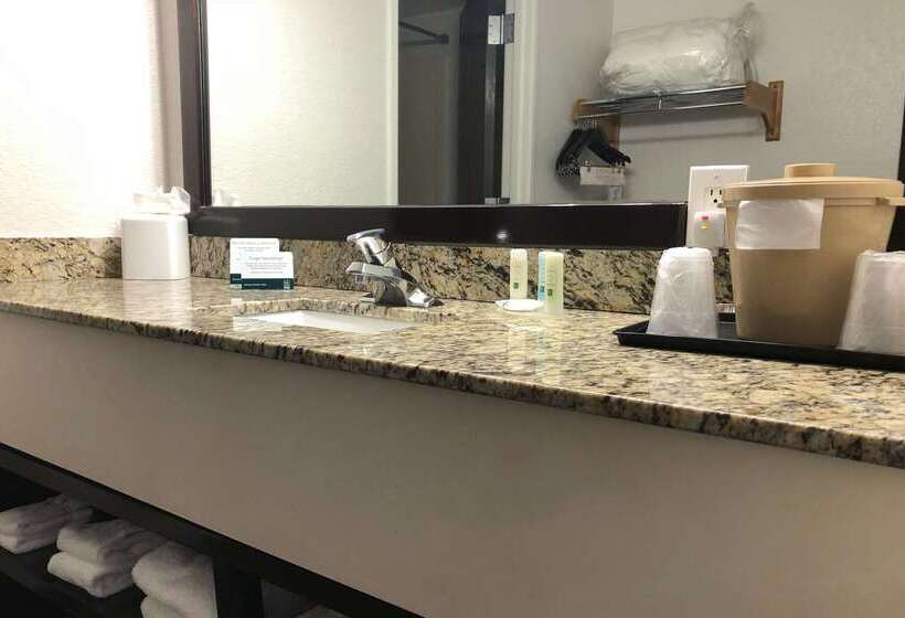 ホテル Quality Inn & Suites Denver International Airport