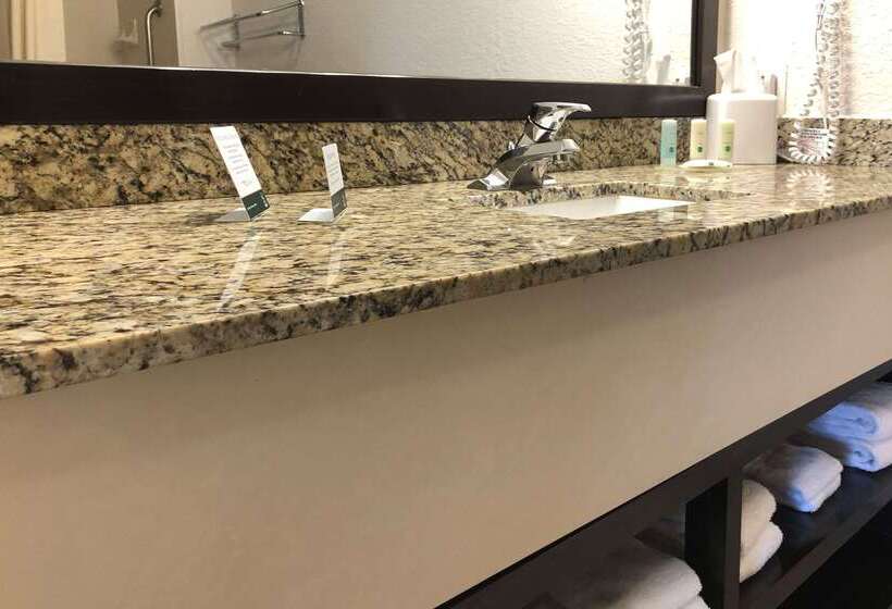 ホテル Quality Inn & Suites Denver International Airport