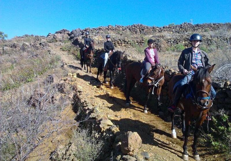 田舎風ホテル La Casona Del Patio