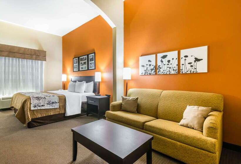 فندق Sleep Inn & Suites Ocala   Belleview