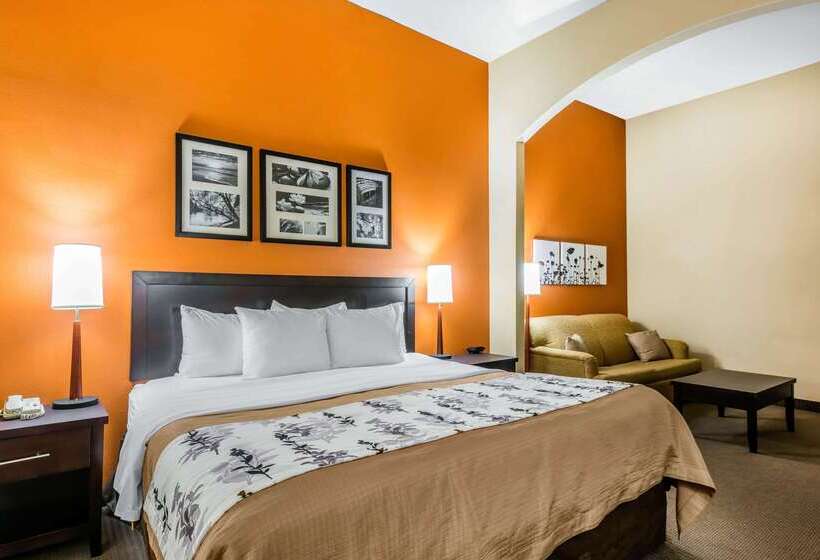 فندق Sleep Inn & Suites Ocala   Belleview