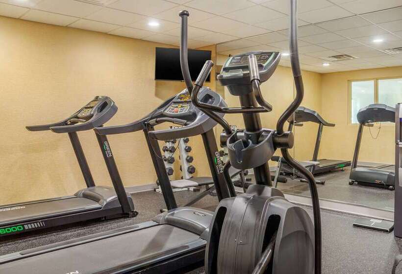 בית מלון כפרי Sleep Inn & Suites Airport