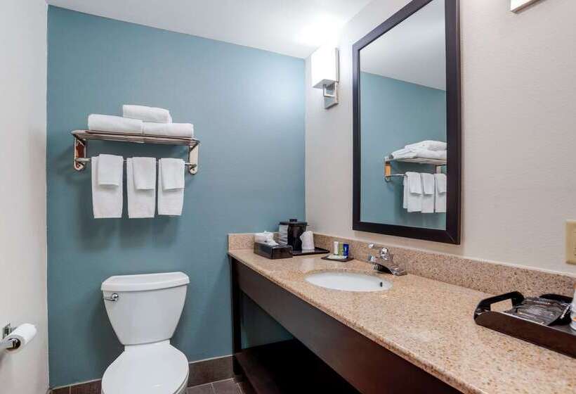 בית מלון כפרי Sleep Inn & Suites Auburn Campus Area I85