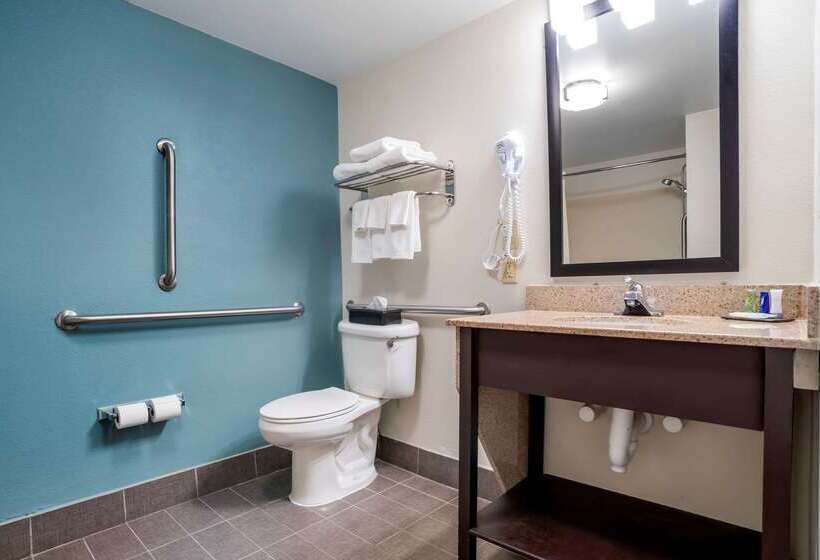 בית מלון כפרי Sleep Inn & Suites Auburn Campus Area I85