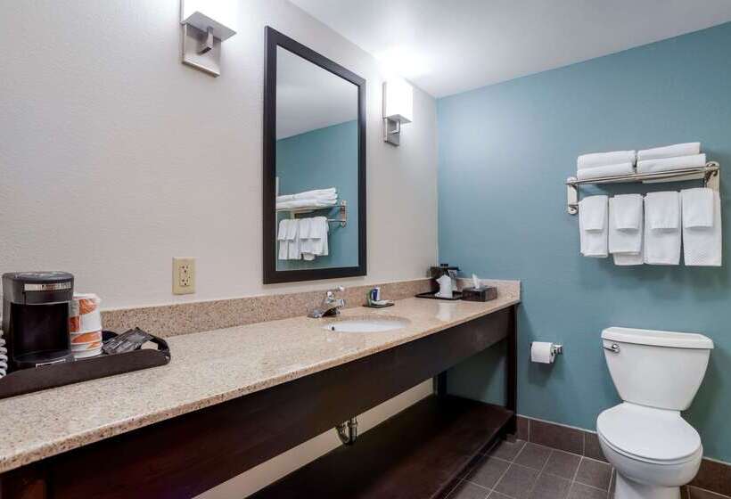 בית מלון כפרי Sleep Inn & Suites Auburn Campus Area I85