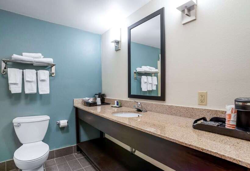 בית מלון כפרי Sleep Inn & Suites Auburn Campus Area I85