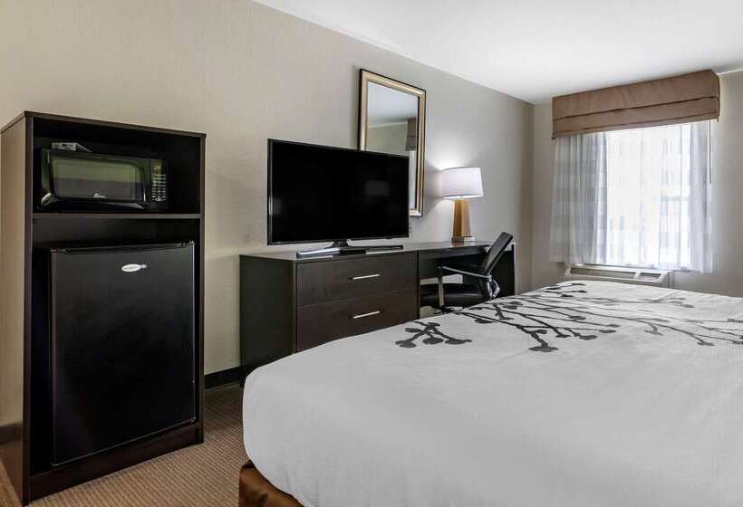 ホテル Sleep Inn & Suites