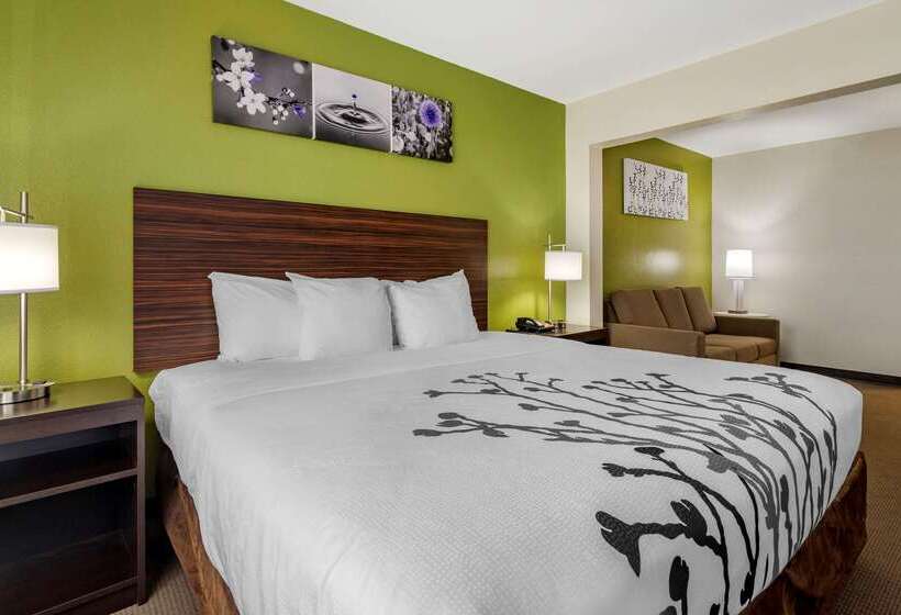 ホテル Sleep Inn & Suites