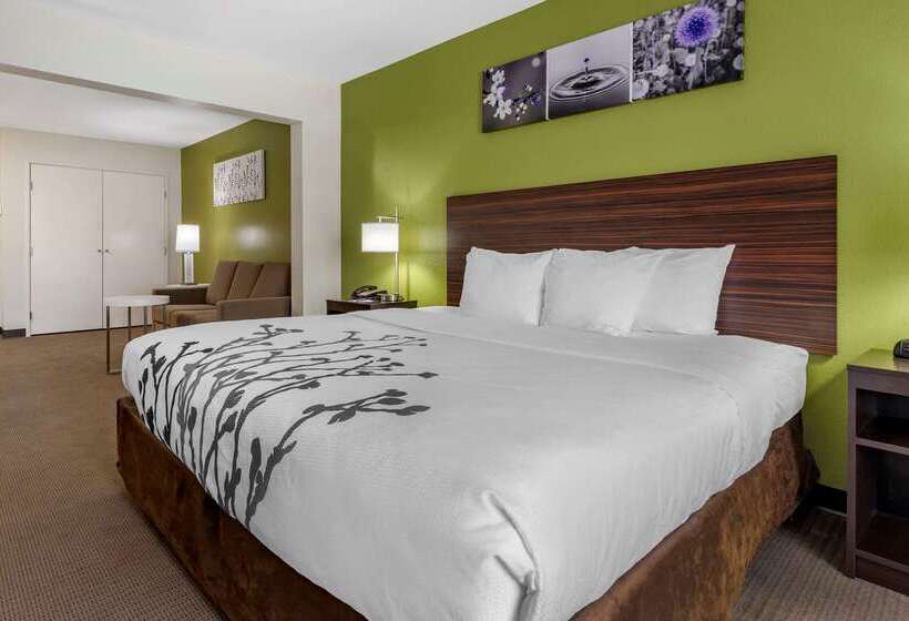 ホテル Sleep Inn & Suites
