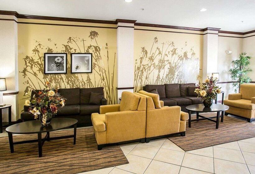 בית מלון כפרי Sleep Inn & Suites New Braunfels